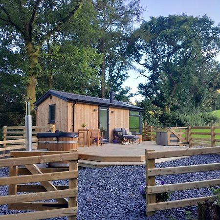 Vila Ty Nant Gwenyn Llanymawddwy Exteriér fotografie